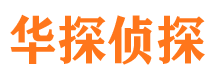 龙城侦探公司